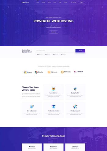 虚拟主机域名服务器托管html网站模板